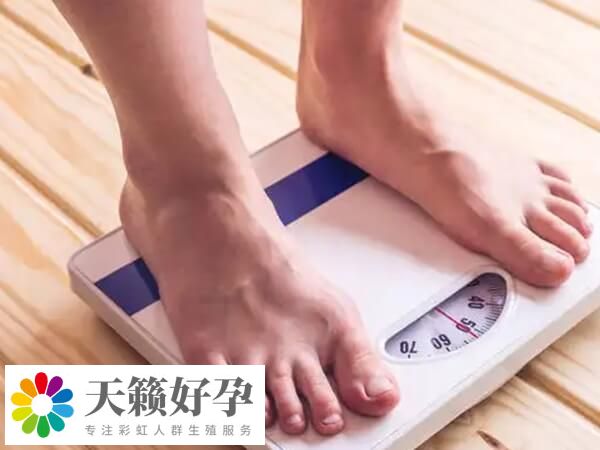 肥胖患者做试管建议先减肥