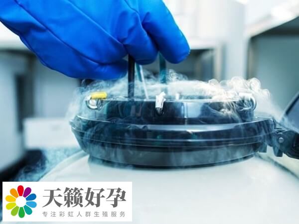胚胎不进行移植可以选择冷冻保存