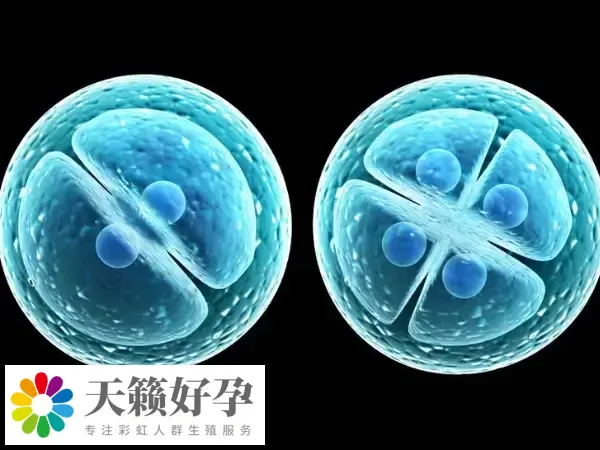 胚胎复苏要2000元