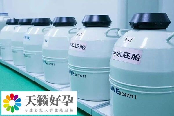 胚胎质量与冷冻的时间是无关