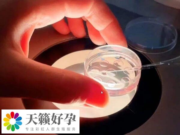 试管移植后胸胀痛可能是药物所致