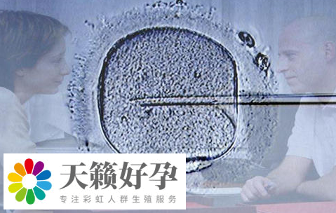 没有月经要还能做试管婴儿吗