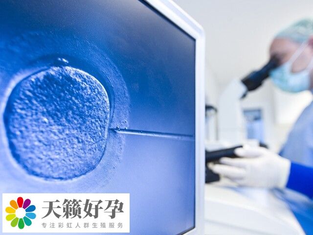 三代试管技术的核心是筛选出最优质胚胎