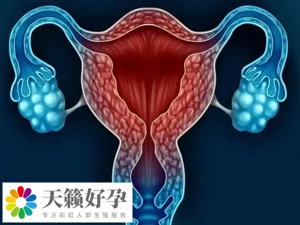 内膜低于8mm可能出现内膜血流不足