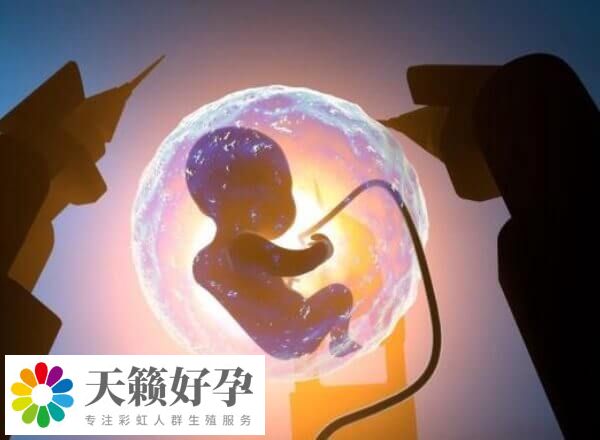 国内和国外的哪些医院能做t卵p怀生孩子呢？