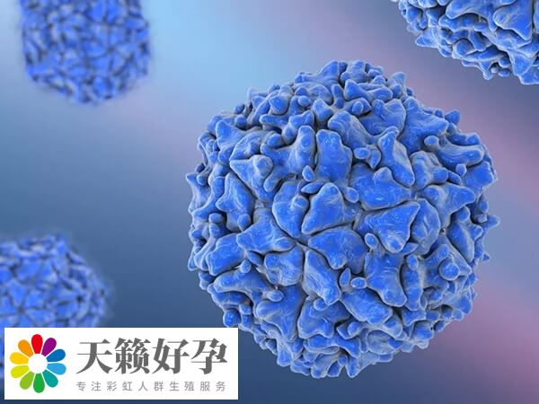 同性恋通过骨髓生育技术成功怀孕的消息是真的吗？