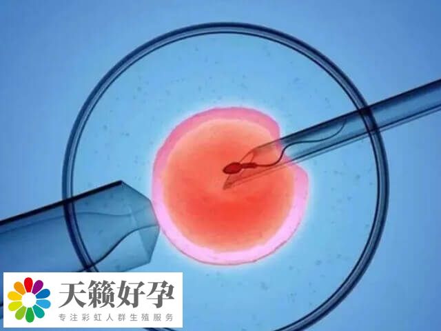 单性别生育的设想不能应用于临床