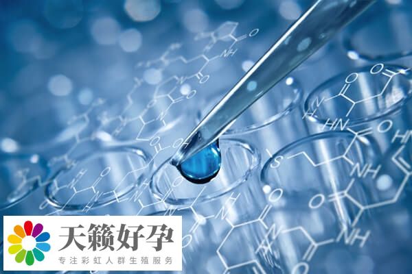 融合胚胎是不是连体婴儿
