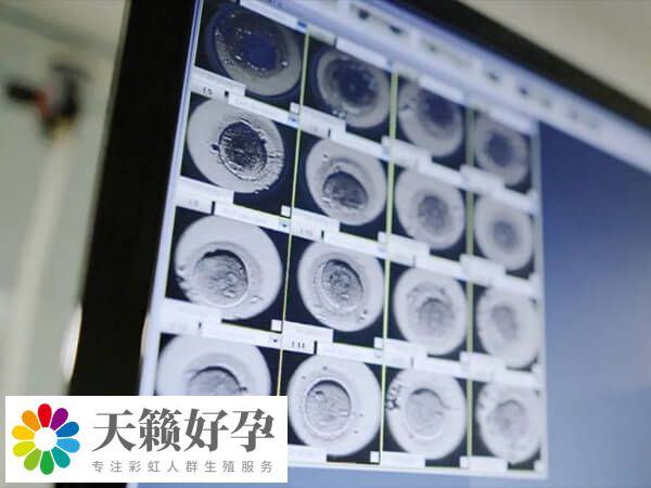 如果都是四级胚胎怎么办