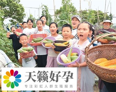 怎样吃“苦”，让健康不再“受苦”？