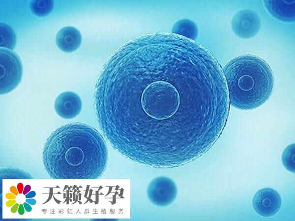糖尿病人做试管费用高不高