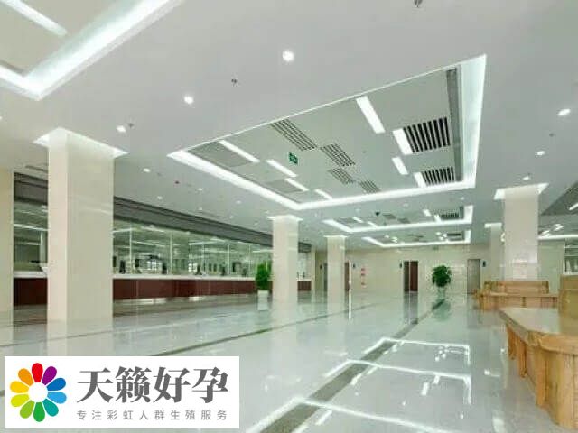 做试管婴儿能不能选择双胞胎