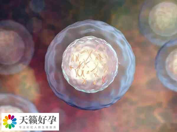 45岁试管移植前如何调理身体