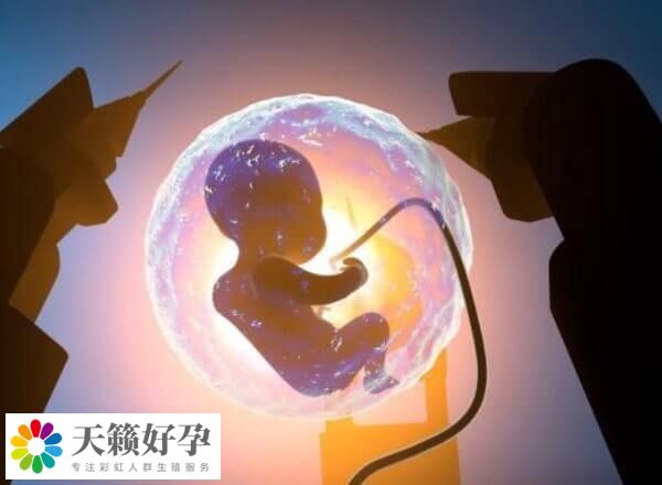 国内和国外的哪些医院能做t卵p怀生孩子呢？