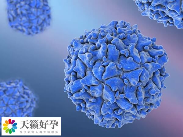 同性恋通过骨髓生育技术成功怀孕的消息是真
