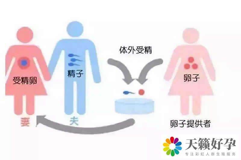天锋试管 天锋试管